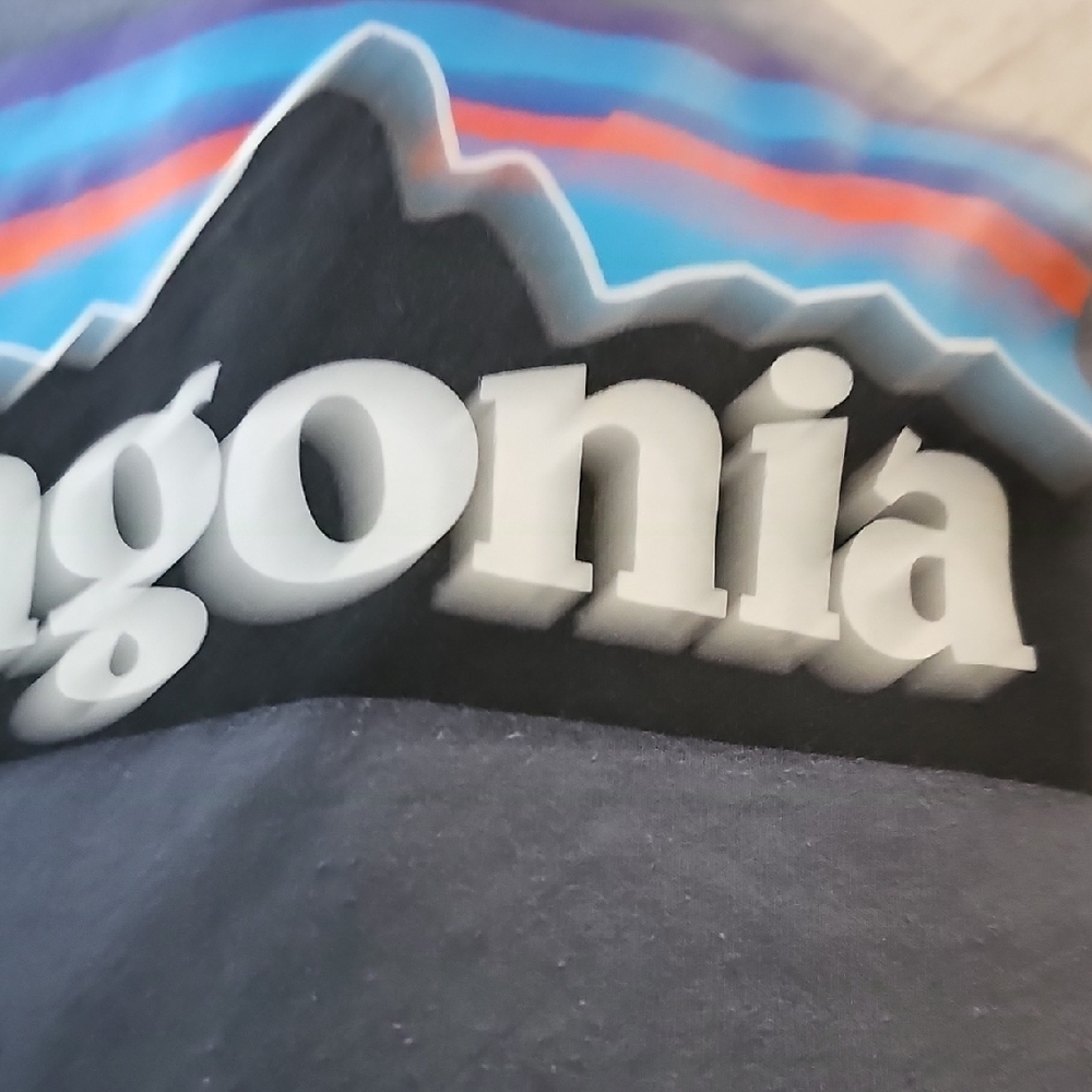 Patagonia Gray Short Sleeve Tee - Picture 6 of 6